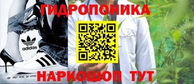 ГАЛЛЮЦИНОГЕННЫЕ ГРИБЫ Тула