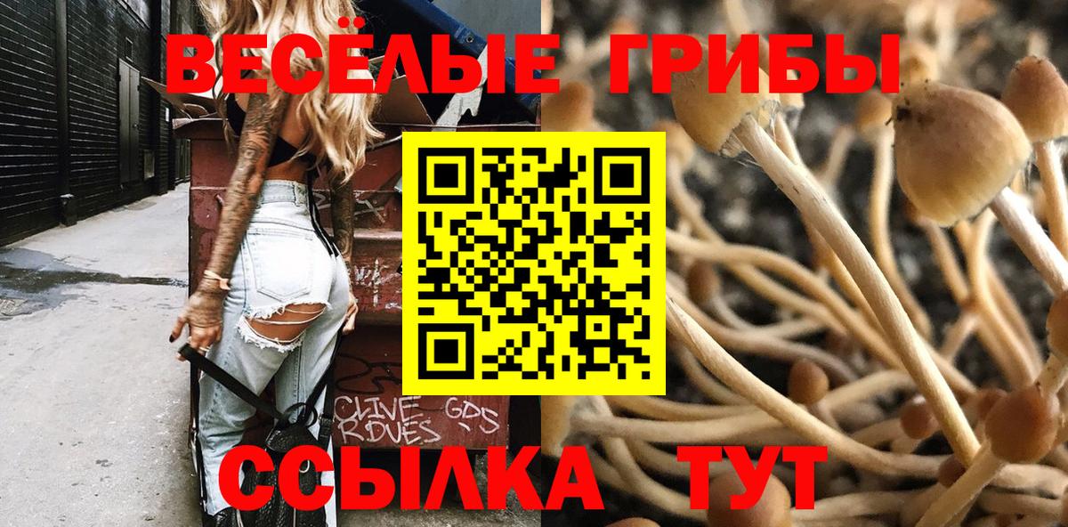 Галлюциногенные грибы Magic Shrooms  Вход с VPN  Михайловка 